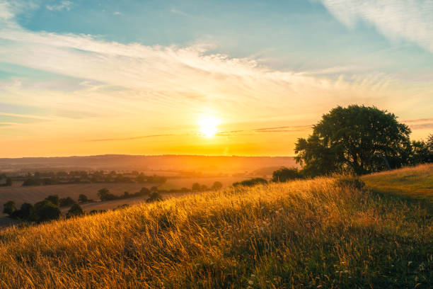 Illustration of a peaceful morning sunrise with soft rolling hills and warm tones representing a calm start to the day